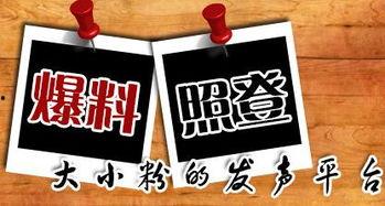 新闻爆料平台陕西,聚焦本土热点,揭示社会现象 第1张 新闻爆料平台陕西,聚焦本土热点,揭示社会现象 第1张